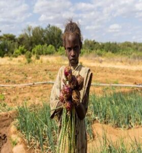 MOV jaarbeeld 2025 werk-04